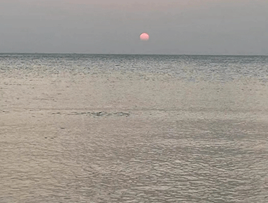 【椰樹婆娑 流水潺潺】 海南某污水處理廠項目調試優(yōu)化進行中